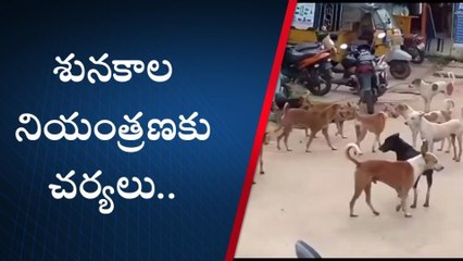 పాల్వంచ: శునకాల సంతతిని నియంత్రించేందుకు అధికారుల చర్యలు