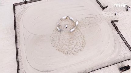 Exclu. Vincent le Provençal fait un impressionnant numéro dans La France a un incroyable talent