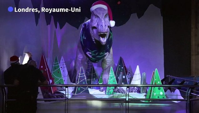 Au Musée d'histoire naturelle de Londres, le T-rex habillé d'un pull de Noël