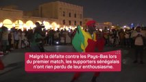 Sénégal - Les supporters donnent de la voix avant d'affronter le Qatar