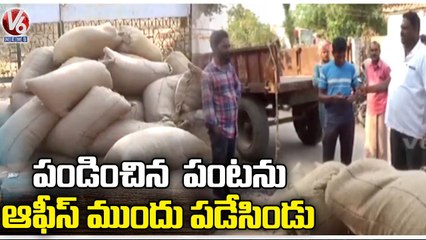 Farmer Pour Paddy Bags In Front Of Single Window office To Purchase Paddy  _ Sircilla _  V6 News
