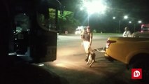 Polícia rodoviária prende rapaz com 25 kg de maconha em ônibus