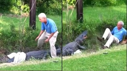 VIDEO: मगरमच्छ की आंख पर शर्ट डालकर पकड़ने चला था बुजुर्ग, एक सेकेंड में खेल पलटा