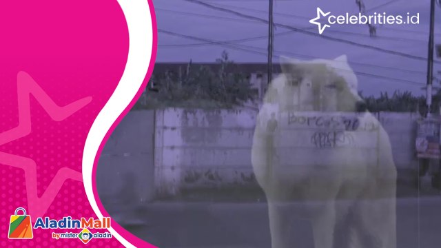 Misteri Bangunan Tua Bekas Bioskop Victoria, Menyimpan Aura Magis