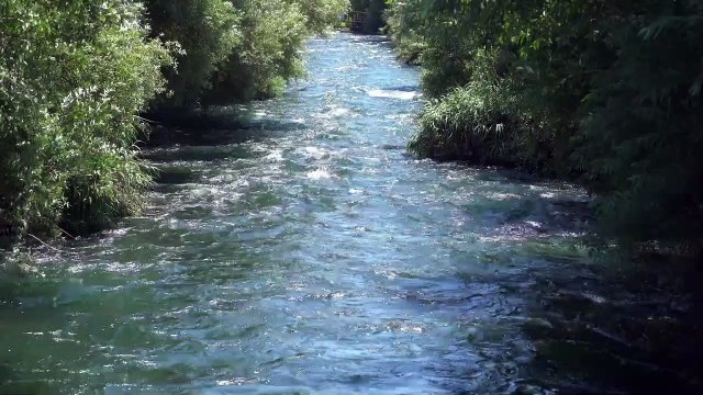 Relaxing Rain Noise + Forest Stream ️ Water Sounds for Sleeping.