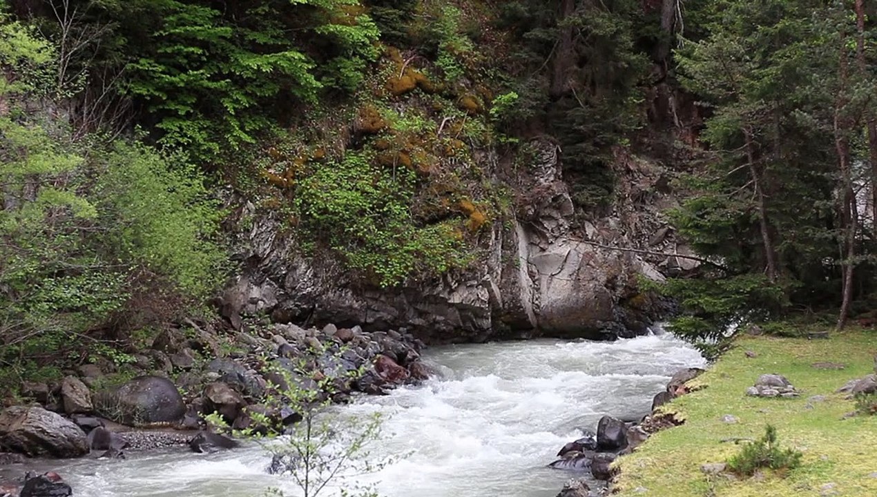 Relaxing River Sounds - Peaceful Forest River - - HD 1080p - Nature Video.