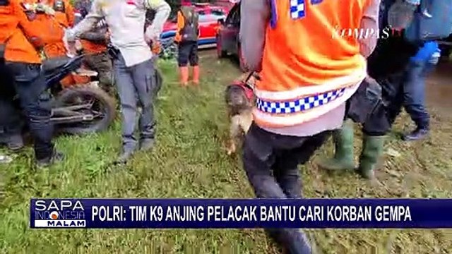 Polri Terjunkan 9 Anjing Pelacak Bantu Cari Korban Gempa Cianjur
