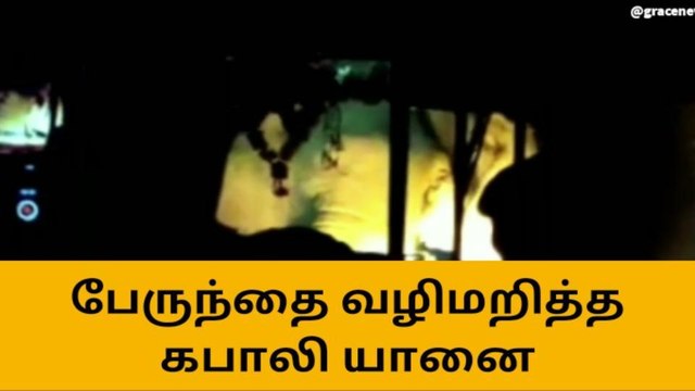 வால்பாறை: பேருந்தை மறித்த காட்டு யானை! திக் திக் நொடிகள்!