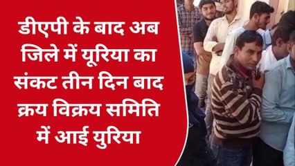 डीएपी के बाद अब जिले में यूरिया का संकट तीन दिन बाद क्रय विक्रय समिति में आई युरिया