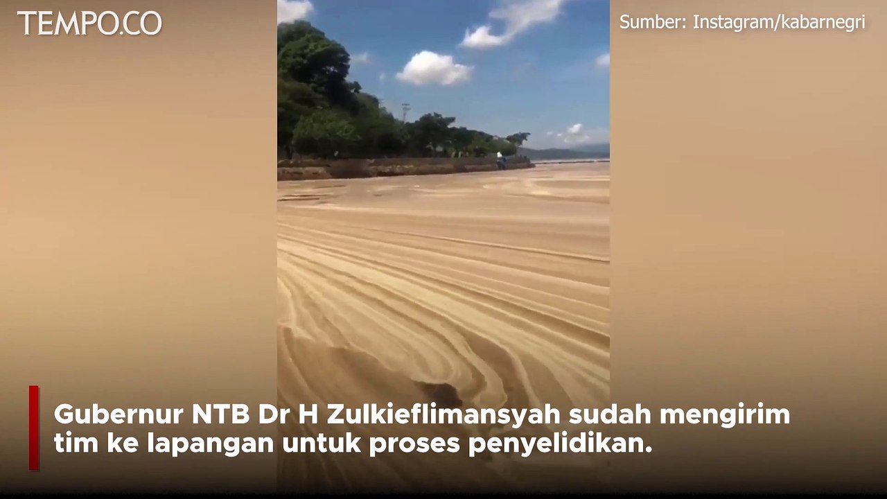 Viral Video Teluk Bima Diduga Tercemar Limbah Pertamina