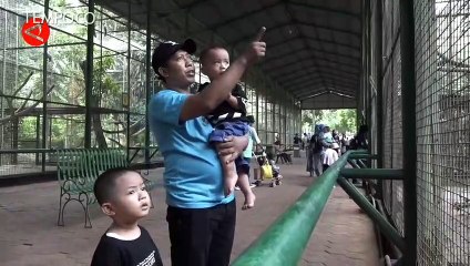Taman Margastwa Ragunan Mulai Dipadati Pengunjung