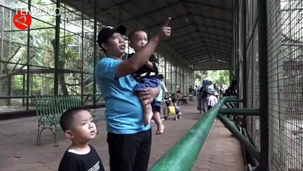 Taman Margastwa Ragunan Mulai Dipadati Pengunjung