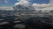 Scientists May Have Found Something Massive Living Under Antarctica