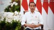 3 Alasan Jokowi Cabut Larangan Ekspor Minyak Goreng