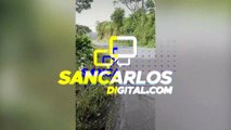 Video viral alerta de peligro en ruta Zarcero-Ciudad Quesada