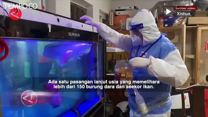 Karantina Beijing, Ada Layanan Perawatan Hewan yang Terpisah dari Pemilik