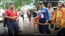 Pegawai Tiki Cirebon Panik, Ada King Cobra Keluar dari dalam Paket