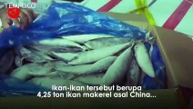 KKP Sita 4 Ribu Ikan Impor Ilegal dari 2 Perusahaan di Batam