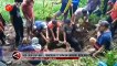 500 Ekor Sapi Mati, Ponorogo Tetapkan Darurat Bencana PMK