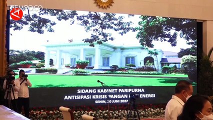 Presiden Minta PLN dan Pertamina Tak Hanya Andalkan Subsidi