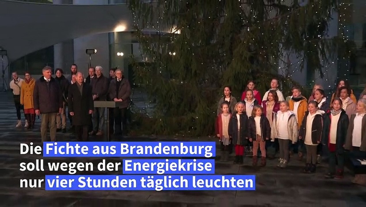 Scholz spart strom beim weihnachtsbaum