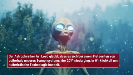 Suche nach "abgestürzten außerirdischen Raumschiff"