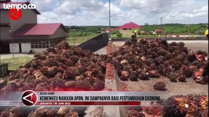 Kemenkeu Naikkan APBN, Apa Dampaknya Bagi Pertumbuhan Ekonomi Indonesia?