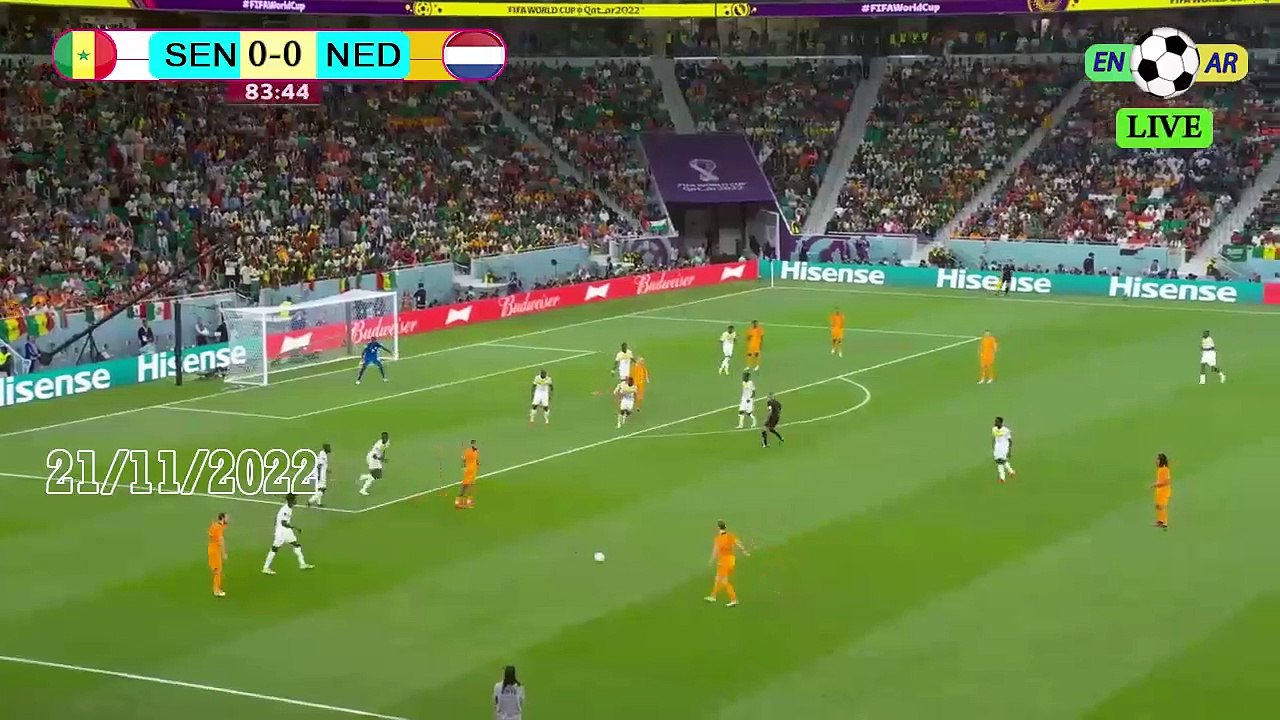 Netherlands 2-0 Senegal / السينغال0-2هولندا - world cup 2022 كأس العالم قطر