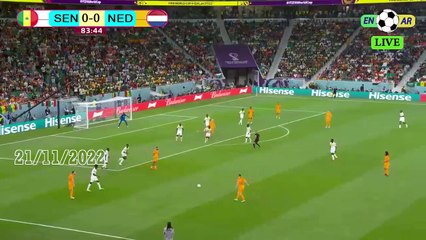 Netherlands 2-0 Senegal / السينغال0-2هولندا - world cup 2022 كأس العالم قطر