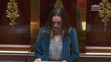 Anne Stambach-Terrenoir, députée LFI: "Comment accepter pour un taureau ce que tout le monde trouve insupportable pour un chien?"