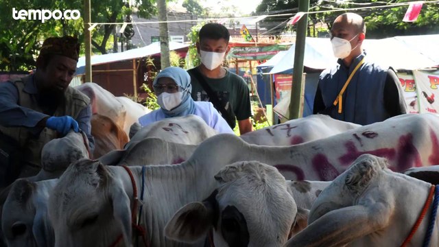 Rekomendasi MUI tentang Kurban Idul Adha di Tengah Wabah PMK