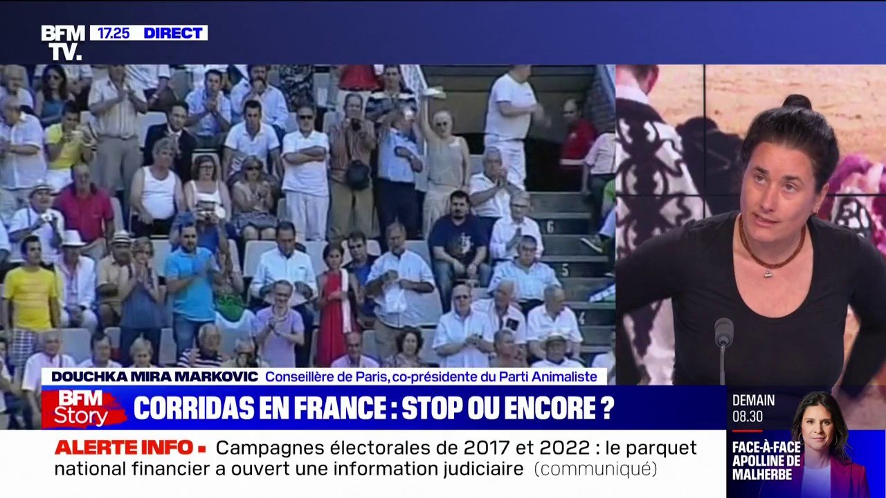 Douchka Mira Markovic (Parti animaliste) sur la corrida: "C'est plus que de la torture, c'est de la barbarie"