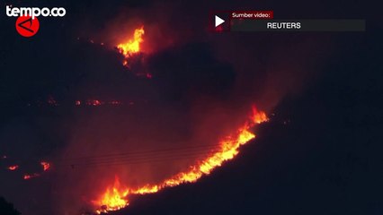Kebakaran Hutan Landa Zamora Spanyol Hingga Malam