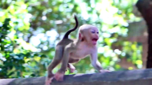 Cute Mouth....Little Mora Running With Smiling Face So Funny Mama Follows To Get Him Back Kindly