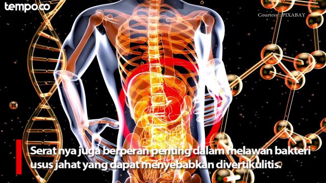 Manfaat Gandum Bagi Kesehatan Tubuh