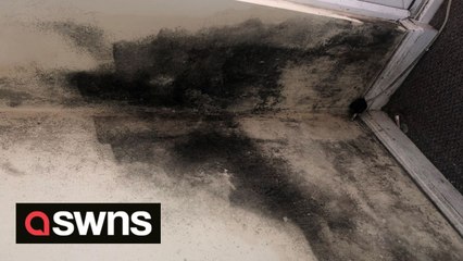 Mum of three with a flat covered in mould said she is "slowly giving up" after slack response from council
