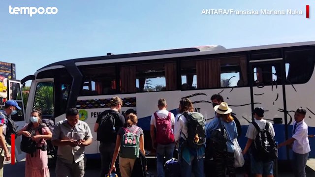 Travel Wisata Mogok, Turis Asing Naik Angkutan Umum ke Bandara Komodo