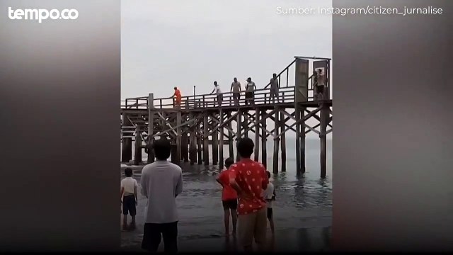 Paus Terdampar di Banyuwangi, Dievakuasi Warga Namun Gagal