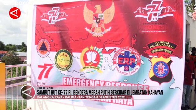 Sambut HUT RI ke-77, Bendera Merah Putih Raksasa Terbentang di Jembatan Kahayan
