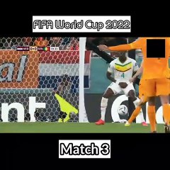 Netherlands vs Senegal fifa world cup 2022 highlights