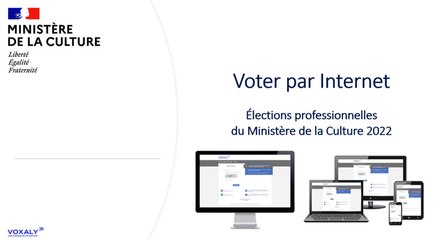 Elections professionnelles 2022 _Voxaly