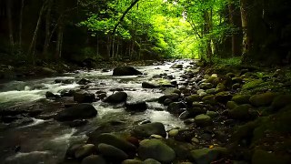 Natural Relaxing Music