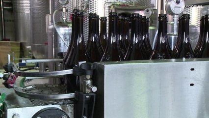 Solfiti, l'EFSA: rischi, ma dati insufficienti per indicare limiti