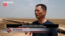 Jembatan Batu Berusia 400 Tahun Muncul dari Danau yang Mengering di China