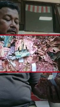 Tabungan Haji Pasangan Suami Istri Penjaga SD Senilai Rp 50 Juta Raib Dimakan Rayap