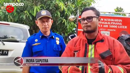 Dua Petugas Damkar Disengat Saat Evakuasi Sarang Tawon Vespa