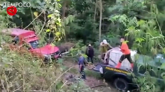 Kebakaran Hutan Gunung Ceremai, Petugas Gabungan Padamkan Api