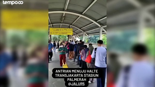 Dampak Sistem Kartu Baru, Antrean Penumpang Transjakarta Mengular