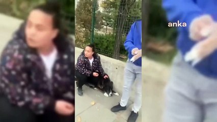 Belediyenin 'küpeli' köpeği götürmesine engel olmaya çalışan avukatlar darbedildi
