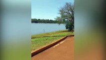 Vídeo mostra momento exato em que homem se afoga no Lago Municipal